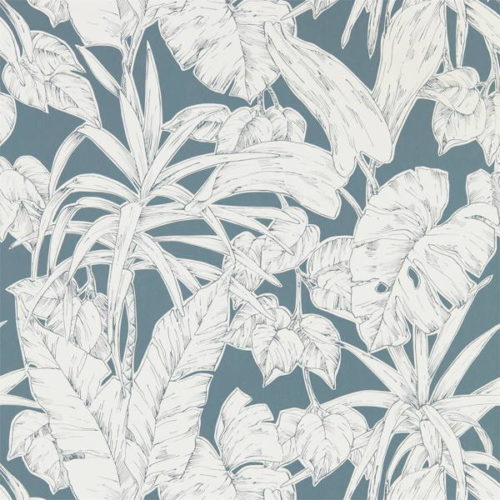 Parlour Palm 112023